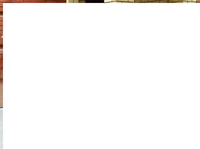 Продажа кованных распашных ворот из профнастила, навесов, заборов, беседок и козырьков Кропивницький - photo 4