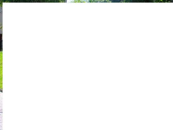 Продажа кованных распашных ворот из профнастила, навесов, заборов, беседок и козырьков Кропивницький - photo 3
