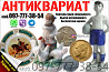 Куплю Антиквариат ! Скупка старинных вещей и золотых монет ! Киев