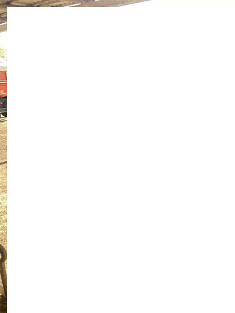Продам насіннєву очисну - сортувальну машину Петкус «Гігант» К 531 А Киев - изображение 3