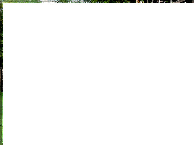 Навесы, ворота, калитки, решетки, козырьки, заборы от производителя Кировоград - изображение 3