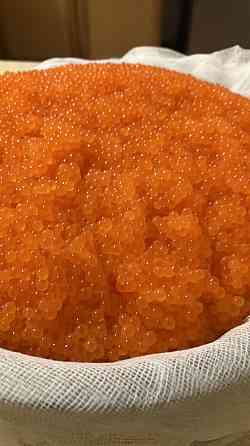 Форель, жива, патрана, з ікрою Ірпінь. Ірпінь