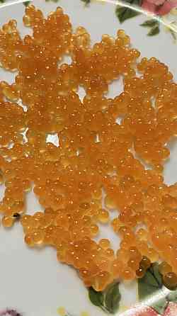 Червона ікра форелі Ірпінь