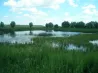 Богдановка. Броварской р.н. 30 км от Киева Киев