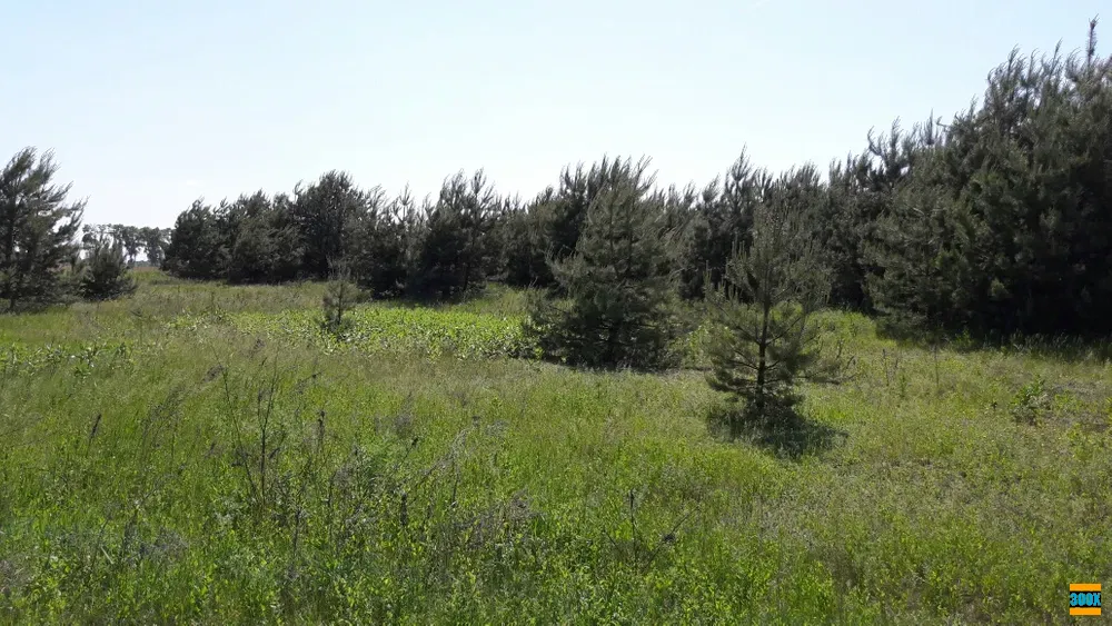 Богдановка. Броварской р.н. 30 км от Киева Київ - photo 3