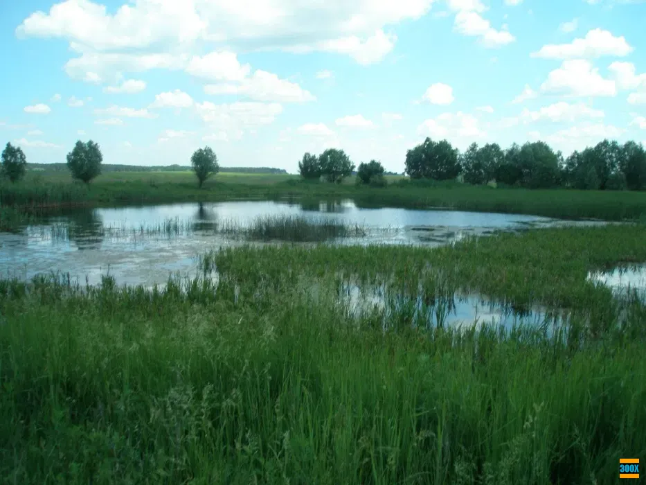 Богдановка. Броварской р.н. 30 км от Киева Київ - photo 1