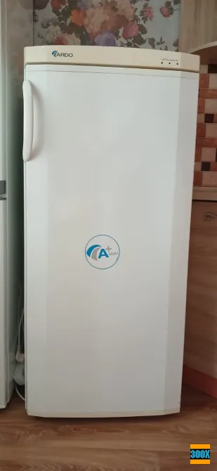 Морозильна камера ARDO FRF 20 SH Одеса - photo 1