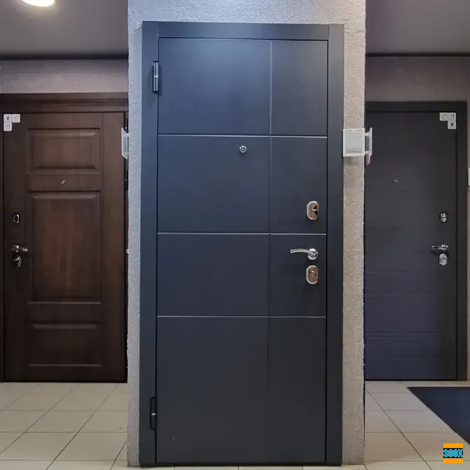 Идеальные входные двери 2–3 мм в Кривом Роге Кривий Ріг - photo 7