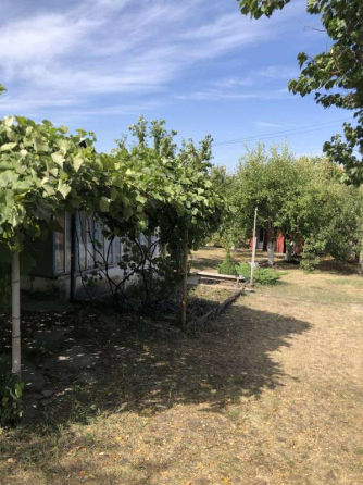 Продам дачу , Валківський район Пісочин