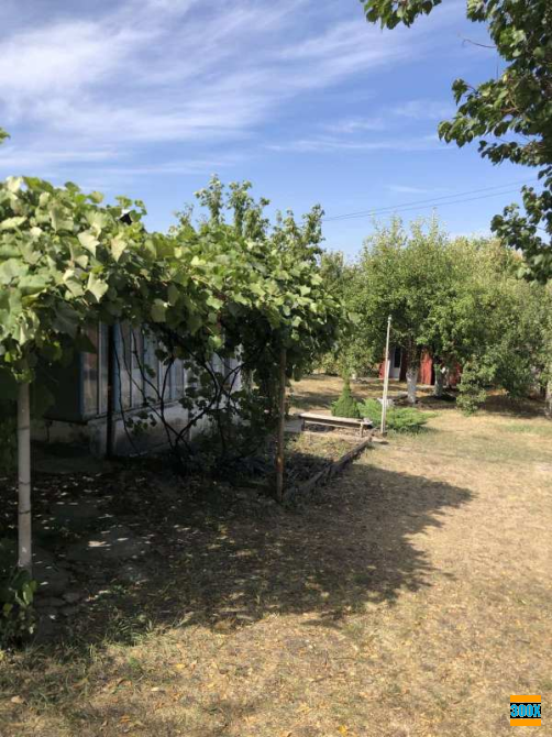 Продам дачу , Валківський район Песочин - изображение 3